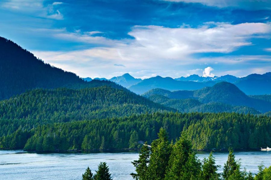 What is Plastonix’s flagship discovery?